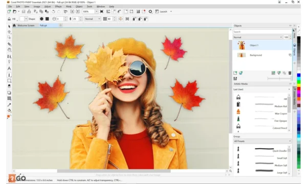 Corel Draw Essential - Image 2