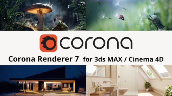 1 Year Corona Education - University